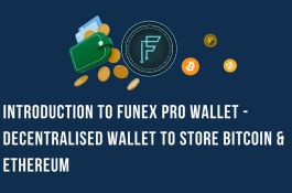 Funex Pro
